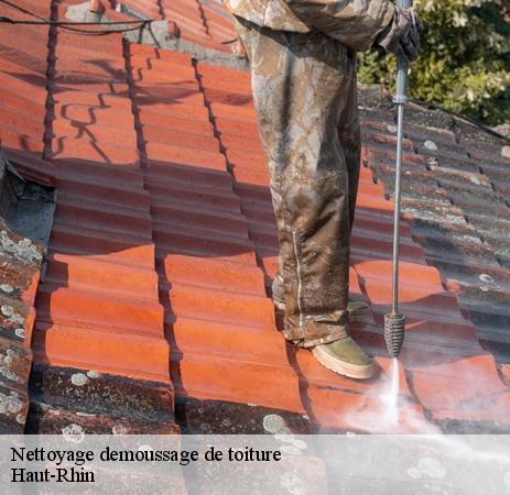 Les interventions de nettoyage des toits dans le 68 dans le Haut-Rhin