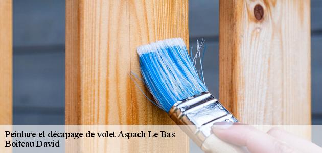 Boiteau David et les travaux de rénovation des volets à Aspach Le Bas