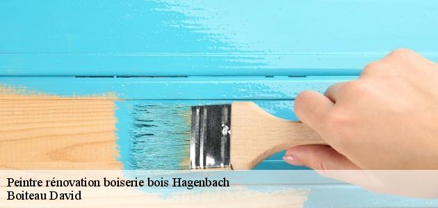 Les travaux de peinture des boiseries à Hagenbach dans le 68210