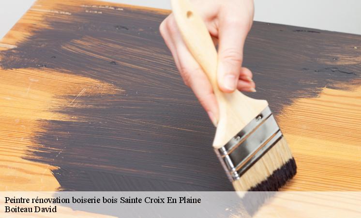 Qui peut effectuer les travaux de peinture des boiseries à Sainte Croix En Plaine ?