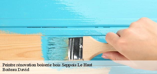 Les travaux de peinture des escaliers en bois à Seppois Le Haut dans le 68580