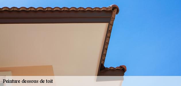 L’entreprise Boiteau David établit le devis pour peindre le dessous de toit gratuitement