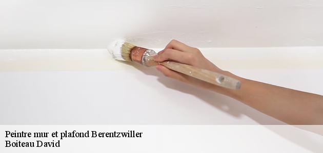 Qui peut effectuer les travaux de peinture des plafonds à Berentzwiller ?
