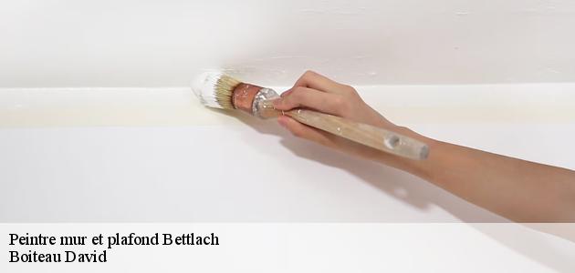 Qui peut effectuer les travaux de peinture des plafonds à Bettlach ?