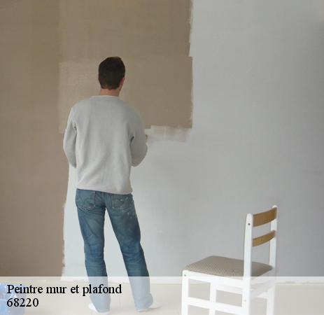 Les travaux de peinture des murs intérieurs à Buschwiller dans le 68220