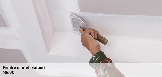 Qui peut effectuer les travaux de peinture des plafonds à Geishouse ?