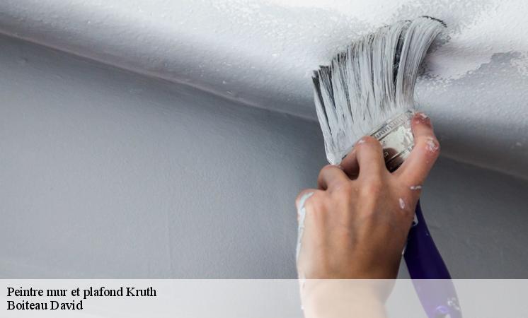 Qui peut effectuer les travaux de peinture des plafonds à Kruth ?