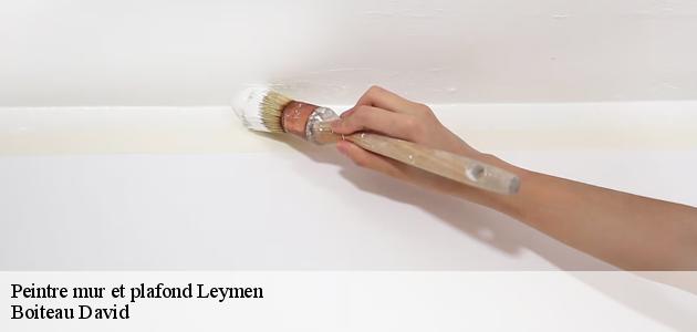 Les travaux de peinture des plafonds à Leymen et ses environs