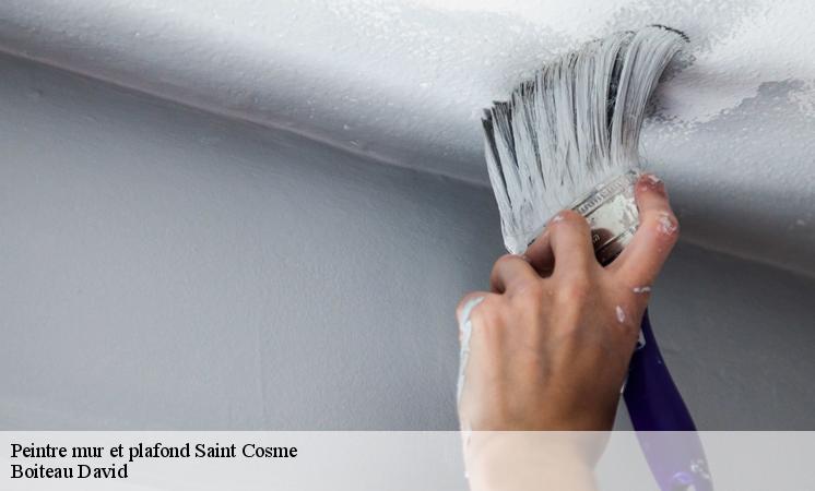 Qui peut effectuer les travaux de peinture des plafonds à Saint Cosme ?