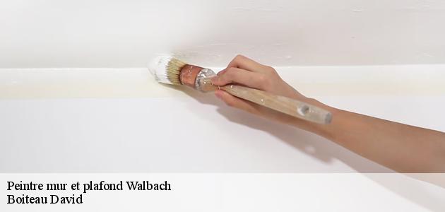 Qui peut effectuer les travaux de peinture des plafonds à Walbach ?