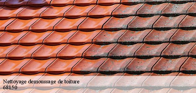 Les travaux de nettoyage des toits des maisons à Aubure
