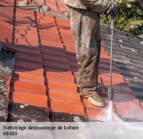 Les interventions de nettoyage des toits à Durmenach dans le 68480