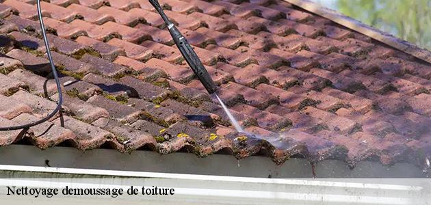 Les travaux de nettoyage des toits des maisons à Durrenentzen