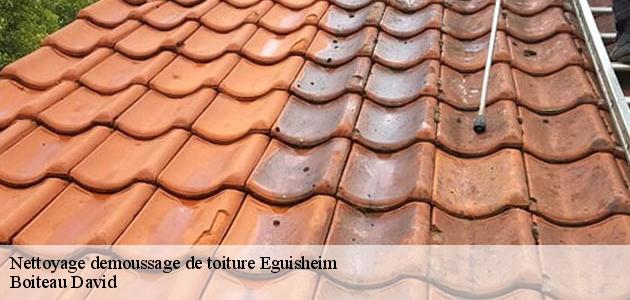 Le démoussage de la toiture : une spécialité de Boiteau David à Eguisheim dans le 68420