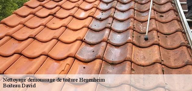 Les travaux de nettoyage des toits des maisons à Hegenheim