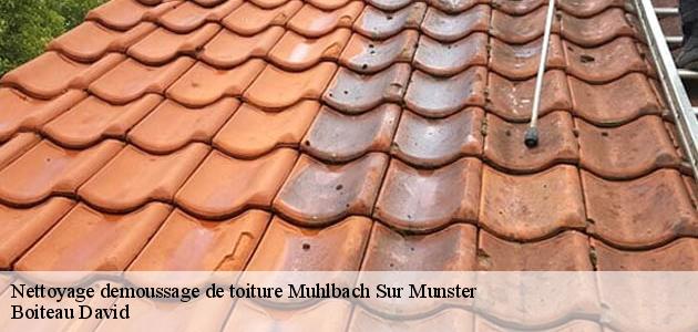 Les travaux de nettoyage des toits des maisons à Muhlbach Sur Munster