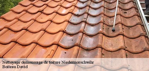 Les interventions de nettoyage des toits à Niedermorschwihr dans le 68230