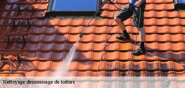 Les travaux de nettoyage des toits des maisons à Soppe Le Haut