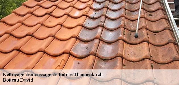 Les travaux de nettoyage des toits des maisons à Thannenkirch