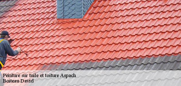 Les travaux de peinture sur les tuiles de la toiture à Aspach dans le 68130