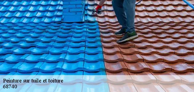 Confiez la peinture de votre toiture à Balgau à Boiteau David
