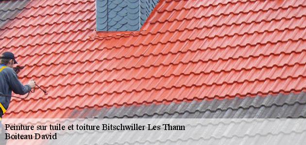 Les travaux de peinture des toits à Bitschwiller Les Thann dans le 68620