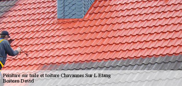 Les travaux de peinture des toits à Chavannes Sur L Etang dans le 68210