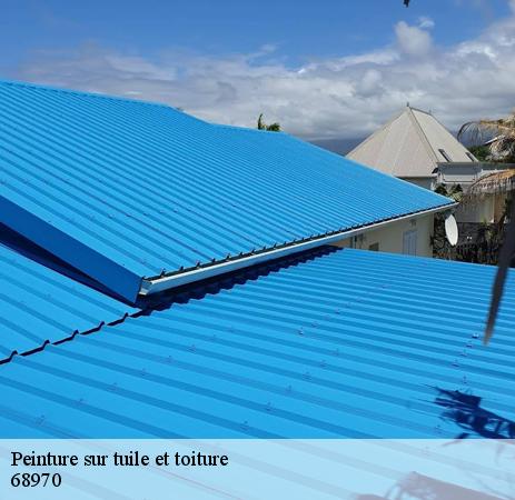 Qui peut peindre les toits des maisons à Guemar dans le 68970 ?