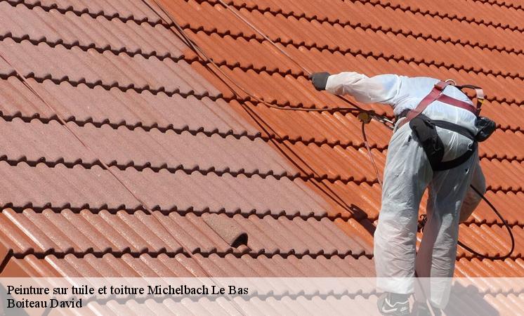 Les travaux de peinture sur les tuiles de la toiture à Michelbach Le Bas dans le 68730