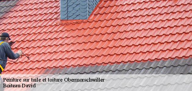 Les travaux de peinture sur les tuiles de la toiture à Obermorschwiller dans le 68130