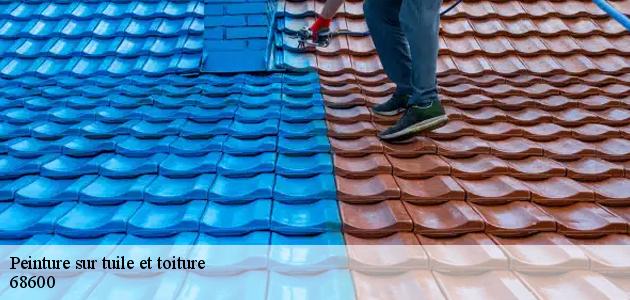 Les travaux de peinture des toits à Obersaasheim dans le 68600
