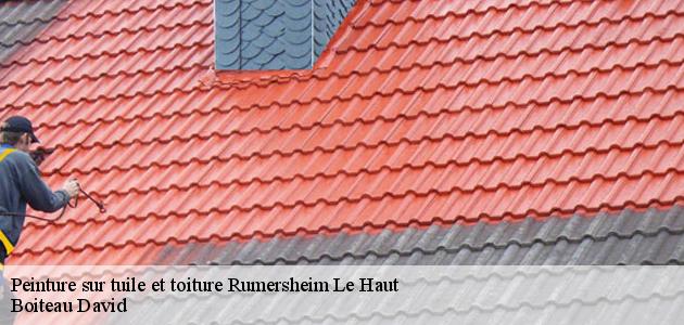 Confiez la peinture de votre toiture à Rumersheim Le Haut à Boiteau David