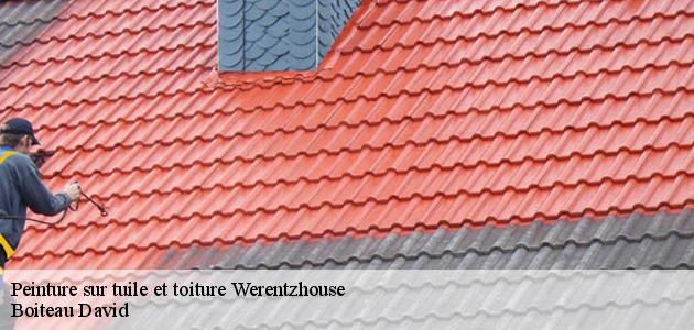 Qui prend en main les travaux de peinture des tuiles à Werentzhouse dans le 68480 ?