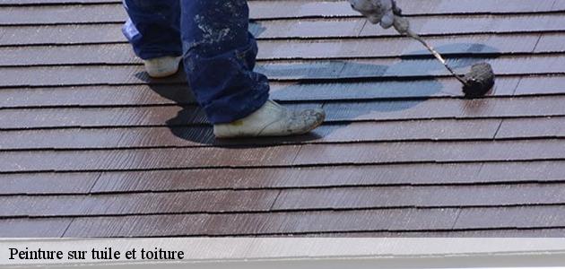 Pour quelles raisons appliquer une peinture hydrofuge pour toiture et tuile à Zaessingue ? 