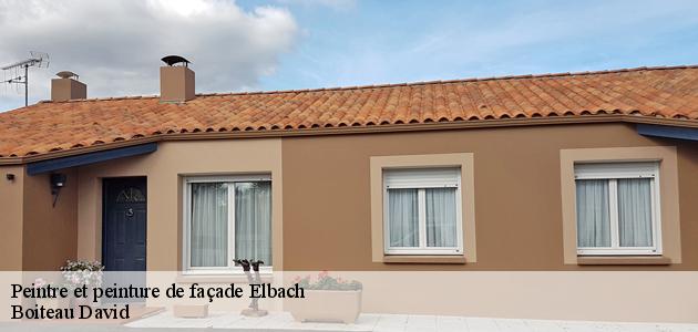 Les aptitudes de Boiteau David pour la peinture des façades des maisons à Elbach dans le 68210