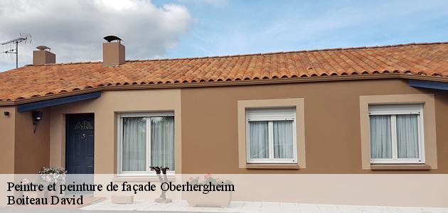 Les propriétaires à Oberhergheim sollicitent le service des peintres en façades Boiteau David
