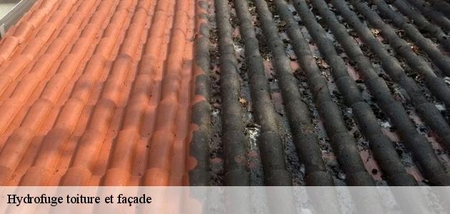 L'application des produits hydrofuges au niveau des toits des maisons à Bilzheim