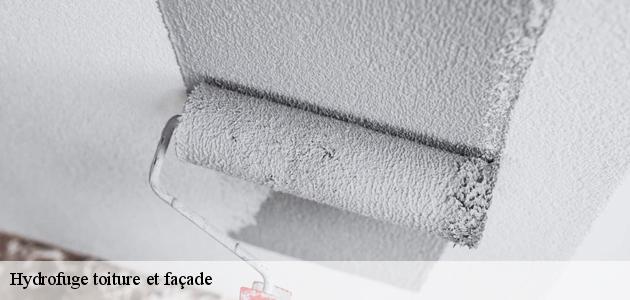 La protection des façades par l'application des produits hydrofuges à Fortschwihr