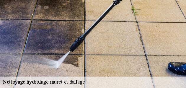 Les interventions de nettoyage des dallages à Bellemagny dans le 68210