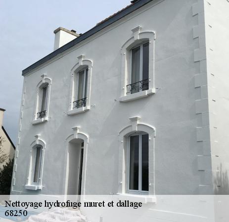Devis nettoyage hydrofuge muret dallage Niederhergheim 68250 gratuit 