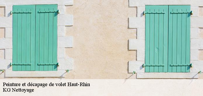 Intervention de KG Nettoyage  pour la peinture et décapage de volet