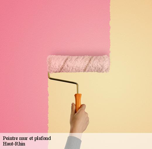 Le devis peinture mur et plafond gratuit chez le peintre CR RENOVATION 68