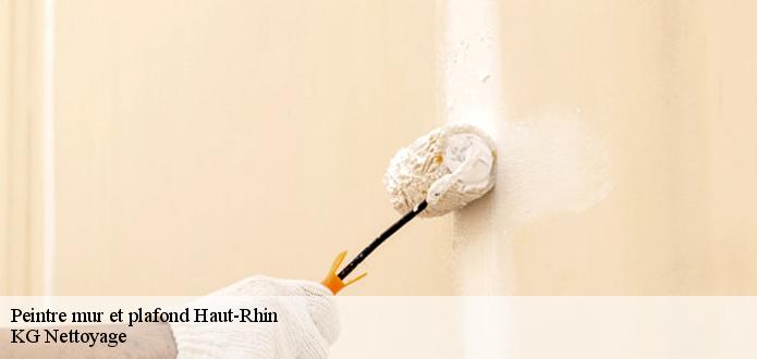 Le choix de la peinture mur et plafond Haut-Rhin