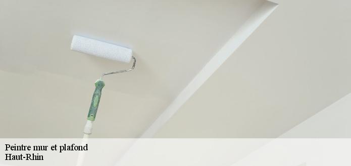 La peinture pour les plafonds dans le 68 dans le Haut-Rhin