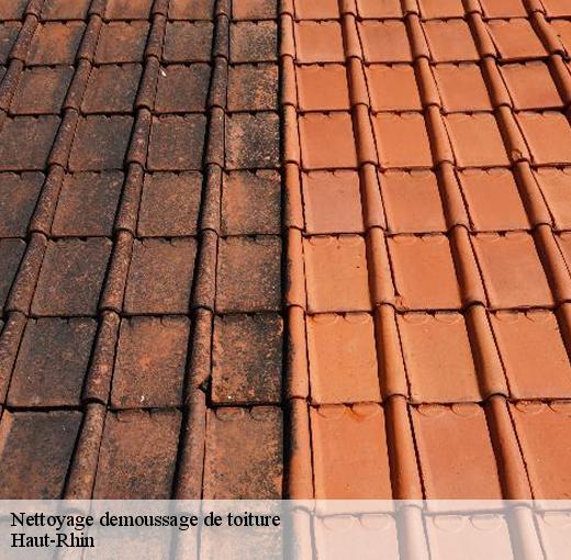 Entretenez régulièrement votre toit en effectuant un démoussage de toit avec CR RENOVATION 68 