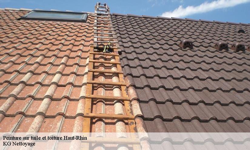 Les travaux de peinture des toits dans le 68 dans le Haut-Rhin