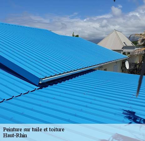 CR RENOVATION 68 établit un devis de peinture sur toiture sans frais ni engagement 