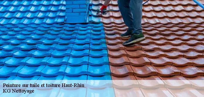Les travaux de peinture sur les tuiles de la toiture dans le 68 dans le Haut-Rhin