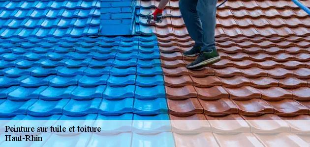 Boiteau David prépare votre toit avant d’appliquer la nouvelle couche de peinture
