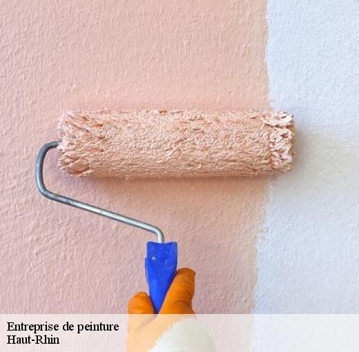 CR RENOVATION 68 : l’entreprise de peinture qui offre ses services à un prix compétitive